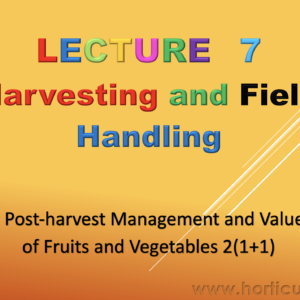 Harvesting and Field Handling PPT